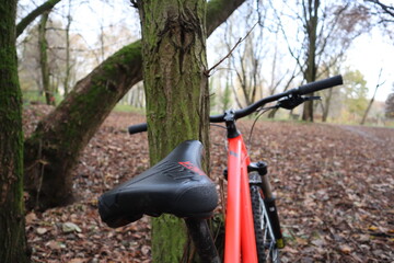 Rower oparty o drzewo, Jesień  © Micha