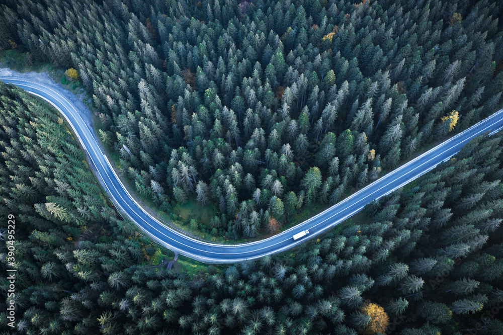 Wall mural Flight over the autumn mountains with road serpentine and pine forest. Top down view. Landscape photography - Wall murals