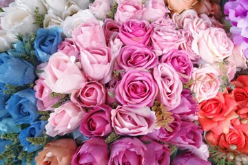 Blurred a group of multicolored roses blossom with softly style for background backdrop