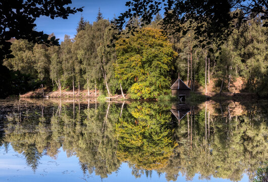 Trees reflected in a lake during fall.
