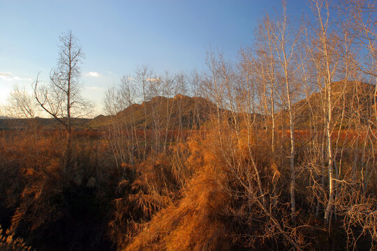 Paisaje oto&ntilde;al. Reserva Natural de Ca&ntilde;averosa, Calasparra (Murcia). &Aacute;lamos y monta&ntilde;a.