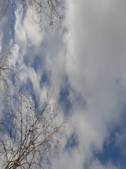 Obraz premium Cloudy Sky