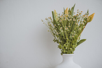 bouquete of wild camomile and yellow tulips on the white background, cold tones