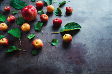 Ripe red small apples and leaves on dark table.  Autumn harvest. Pattern