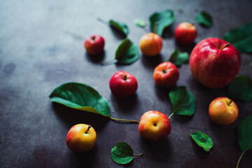 Ripe red small apples and leaves on dark table.  Autumn harvest. Pattern