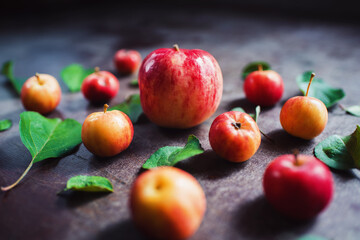 Naklejka na ściany i meble Ripe red small apples in the basket in on dark table. Autumn harvest. Macro