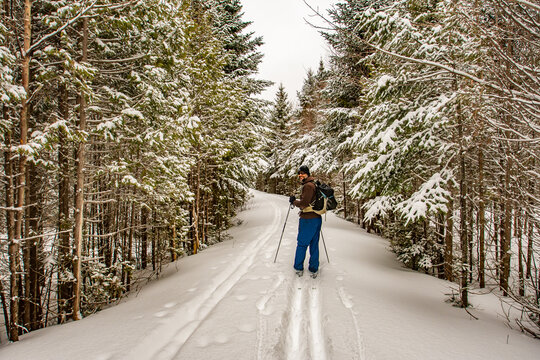 person backcountry skiing