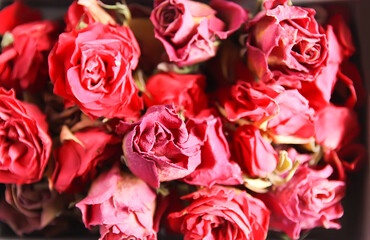 Red rose dry buds, flowers and petals in the opened cardboard box