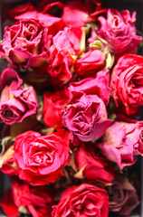 Red rose dry buds, flowers and petals in the opened cardboard box