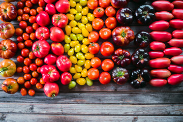 The harvest of tomatoes. Different color and varieties of tomatoes on a wooden background. Healthy and natural food. 