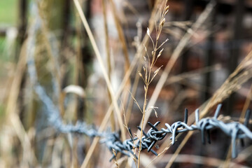 Blurred autumn background with barb wire