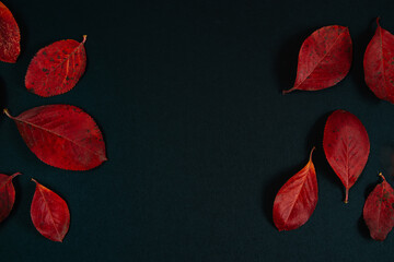 Autumn concept. Background from beautiful red leaves on a black background. Place for text.