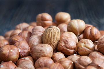 quality raw nuts ready to eat, hazelnuts
