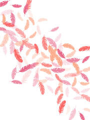 Detailed majestic feather on white design.