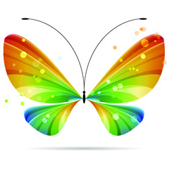 colorful striped bright butterfly, vector illustration 