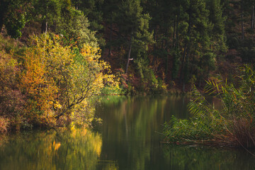 autumn trees reflected in water