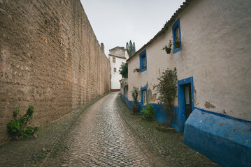 Streets Of Obidos 1