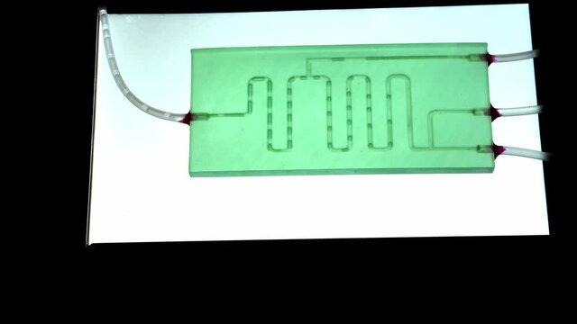 Organ-on-a-chip (OOC) - microfluidic device chip that simulates biological organs that is type of artificial organ. Prototype of design lab-on-a-chip in microfluidic laboratory