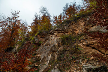 autumn in the mountains