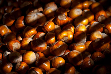 Hazelnuts on a pile close up. Texture of nuts. Contrasting dramatic light as an artistic effect.