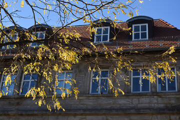 old house with tree in autumn