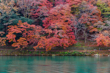 嵐山の紅葉

