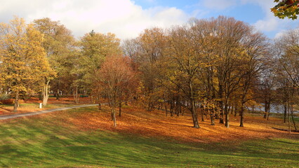 autumn in the park