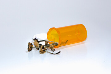RX Psilocybin Mushrooms clinical studies approved