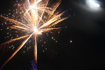 Strong Golden Firework with Streaks of Blue and Silver