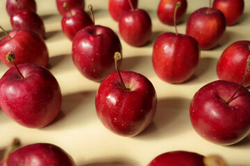 テーブルの上に整列した姫リンゴ 4