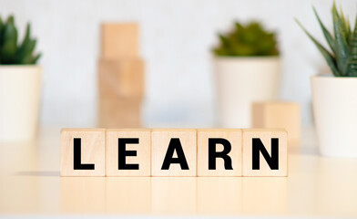 LEARN word written on wood block