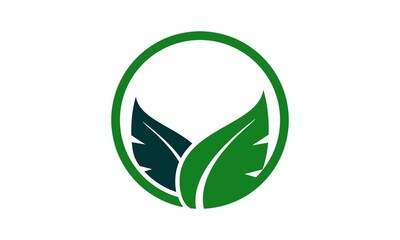 brand leaf icon nature vector