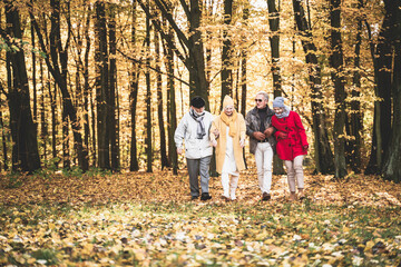 Group of happy senior friends walking in autumn park.