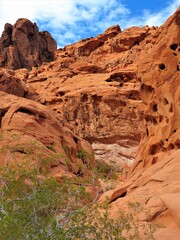 Beautiful red sandstone formations in Moab Park