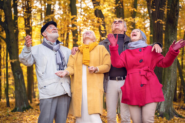 Four senior friends looking at golden leaves in autumn park.