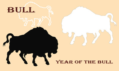 bison, two silhouettes, black and white bulls and a white border, isolated image on a colored background	

