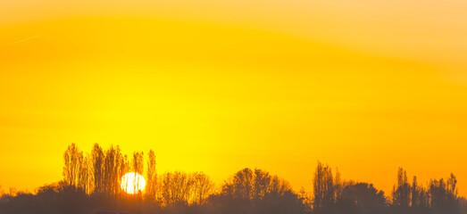 Trees in autumn colors in a field at sunrise under a blue bright sky in sunlight at fall, Almere, Flevoland, The Netherlands, November 5, 2020