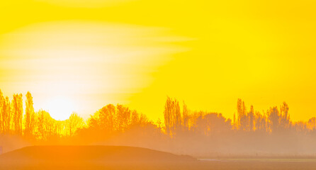 Trees in autumn colors in a field at sunrise under a blue bright sky in sunlight at fall, Almere, Flevoland, The Netherlands, November 5, 2020