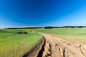 agriculture, activities in rural areas
