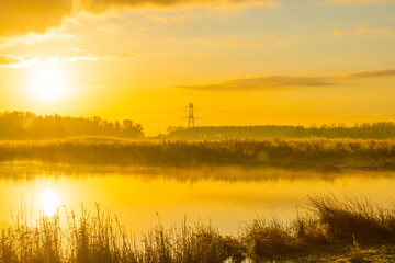 Reed along the misty sunny edge of a lake in wetland at sunrise in bright sunlight in autumn, Almere, Flevoland, The Netherlands, November 5, 2020