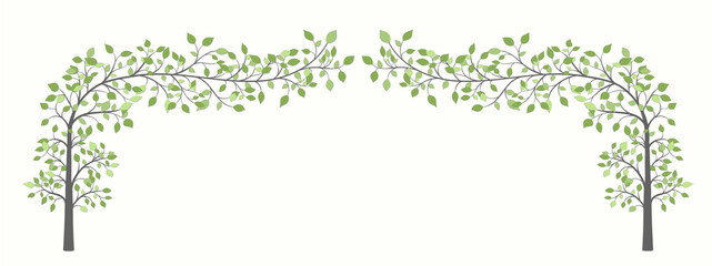 Arch of two trees with green leaves
