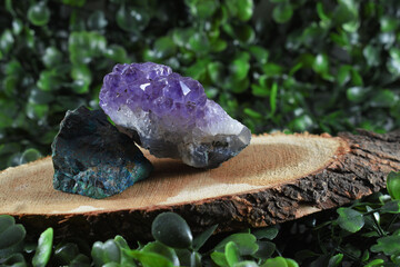 Different stones and minerals on wooden discs on a green background of leaves