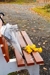 autumn yellow chrysanthemums and umbrella lie on the park bench