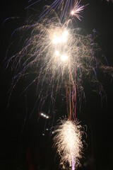 Golden Fireworks Display on Bonfire Night