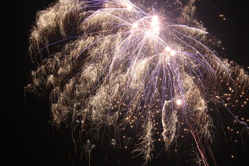 Blue and Gold Fireworks Display