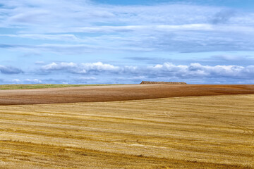 an agricultural field