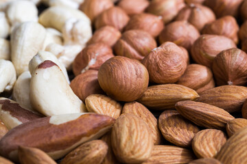 mixed together cashews, almonds and hazelnuts