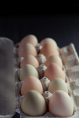 Fresh Eggs in a paper egg carton