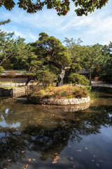 Fototapeta na wymiar Shrine and pond in Jongmyo Shrine