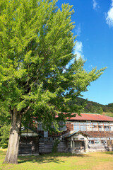 Fototapeta premium 昭和村立喰丸小学校